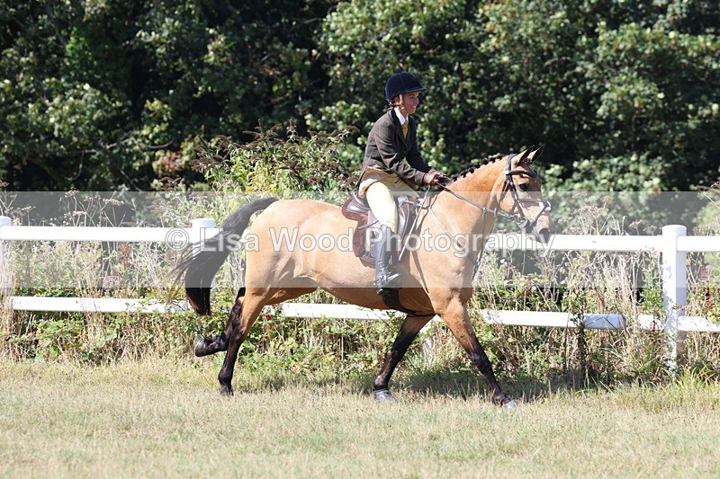 3E7A6319 - Class 6: Working Hunter 1m