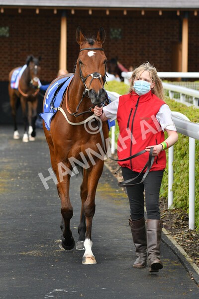 yr12052021r1-1 - Race 1 1.40pm Sky Bet Race to the Ebor Jorvik Stakes