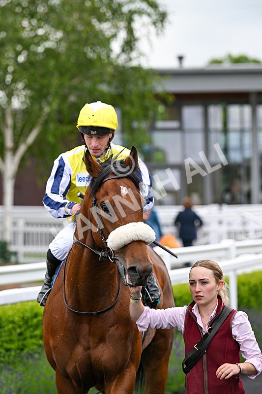 180624-Race 4-Animate-0480 - Race 4