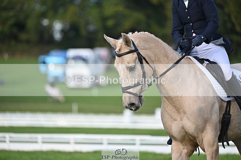 251024A-150906-13972 - E-395-Rolline.OCallaghan