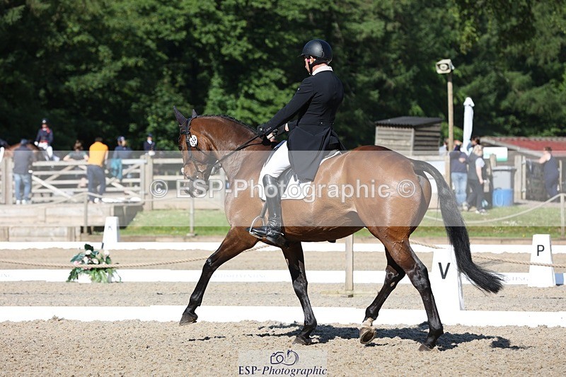 230526-092131-05051 - 354-TREWORDER-Michael_Owen-WEDTrotUp+DR