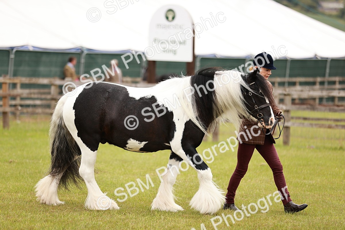 SBM_04631 - Class 5-8 - BSPA In hand