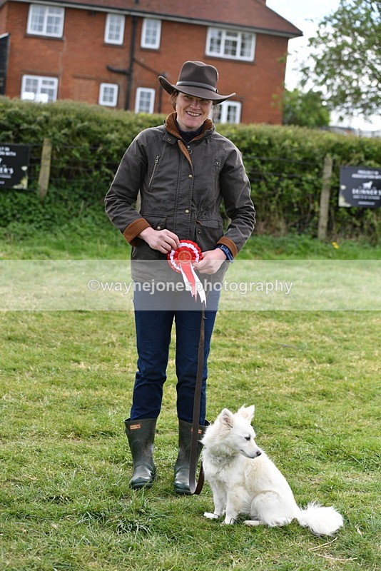 WJ5_9393 - Class 1 Best Cross Breed / Heniz 57