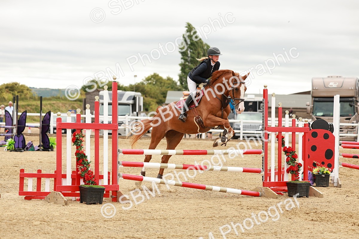SBM_006407 - Class 1 - Senior British Novice - 90cm Open
