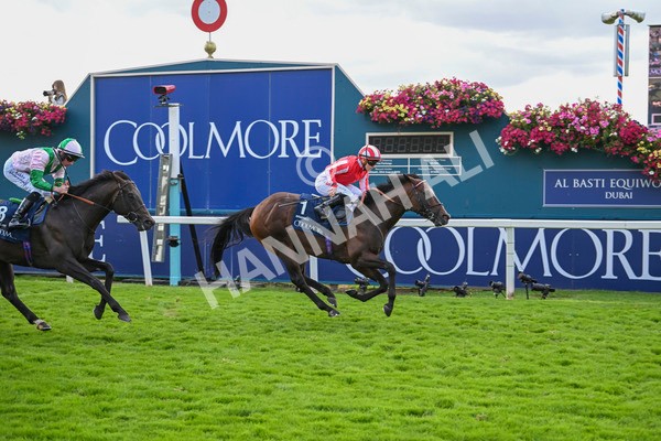 230824-Race 4-Bradsell-9431 - Race 4 3.35pm Coolmore Wootton Bassett Nunthorpe Stakes