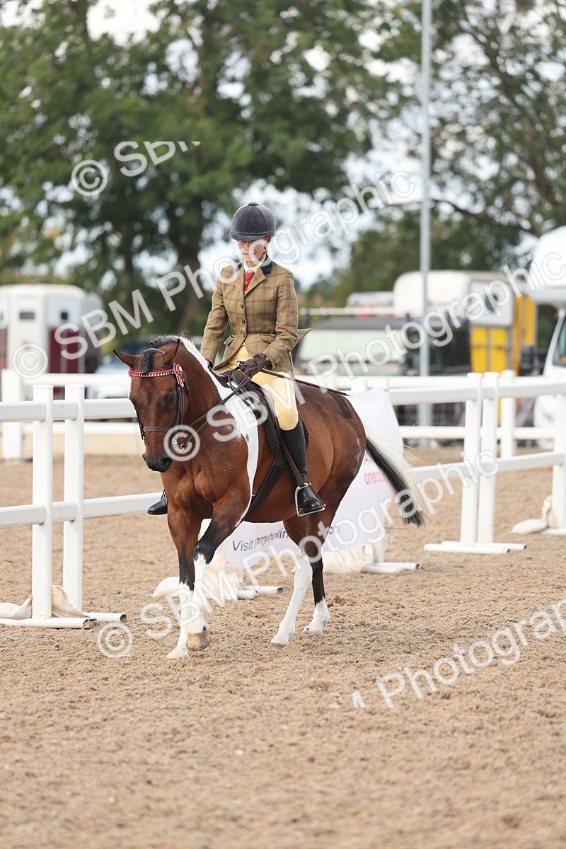 SBM_14662 - Class 307 - Ridden Coloured Pony