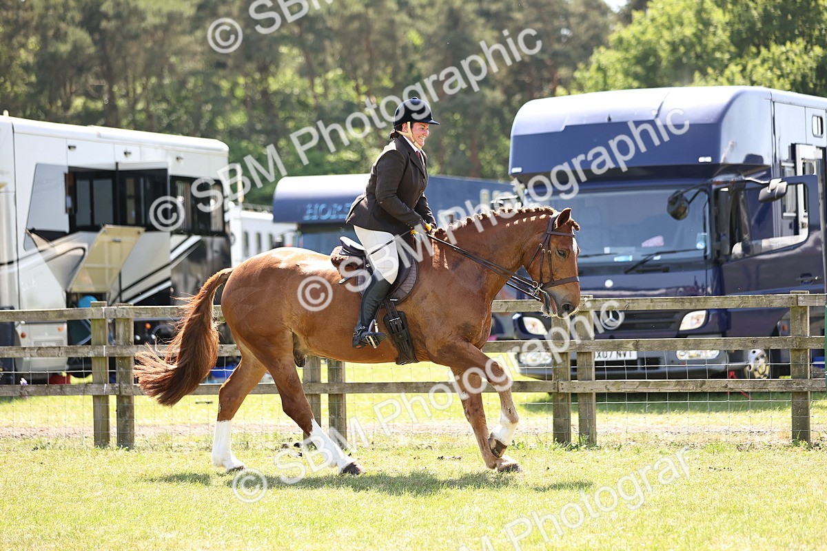 SBM_17803 - Class 81-83 - TSR Ridden Amateur of the Year - Horses