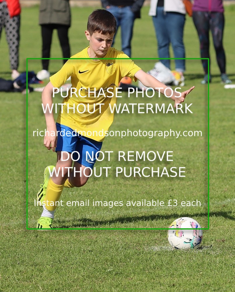 IMG_7423 - Whitehaven Amateur Blues