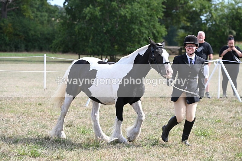 WJ6_6630 - Class 20 In-hand Cob