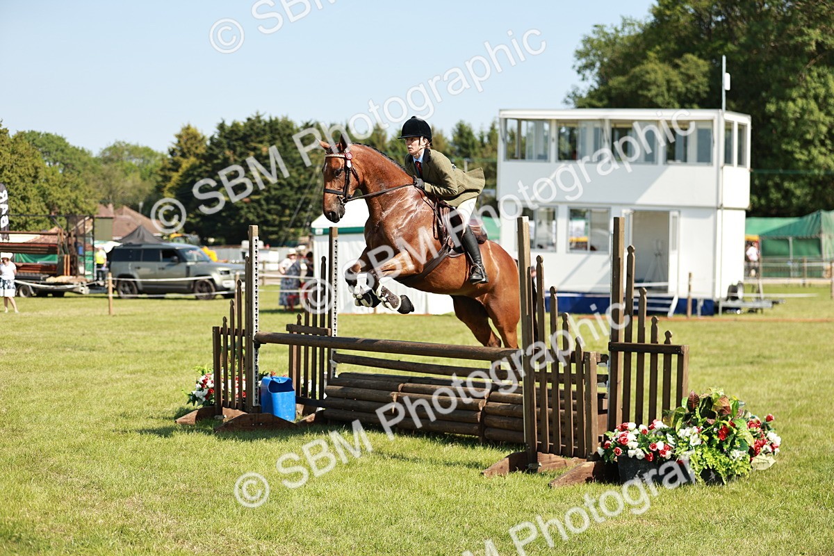 SBM_18827 - Class 114 - RIHS & SEIB Open Working Show Horse