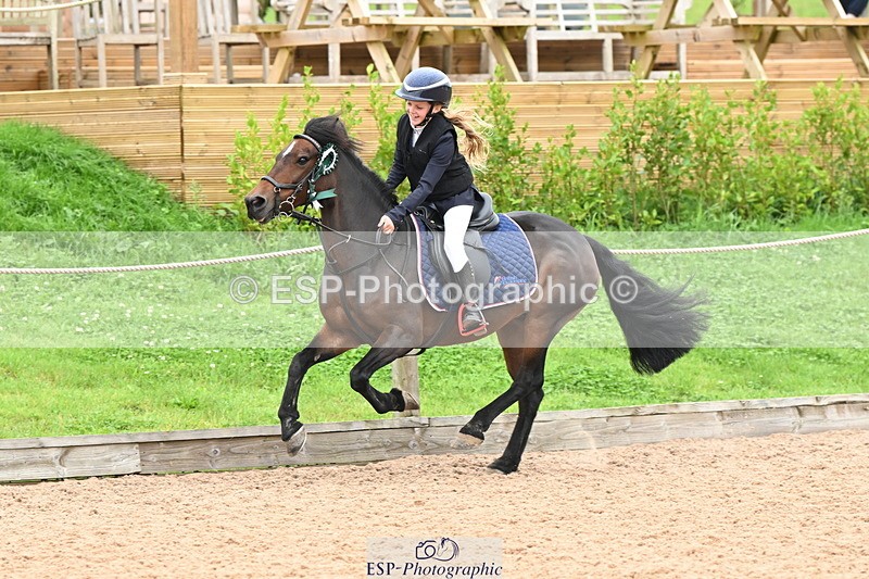 240907A-131956-01955 - Cls 3 Pony Medium Team 80cm & 90cm