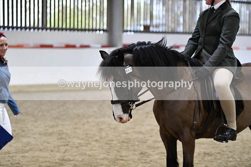 WJ5_7222 - Class 11 Ridden PC - RC Pony