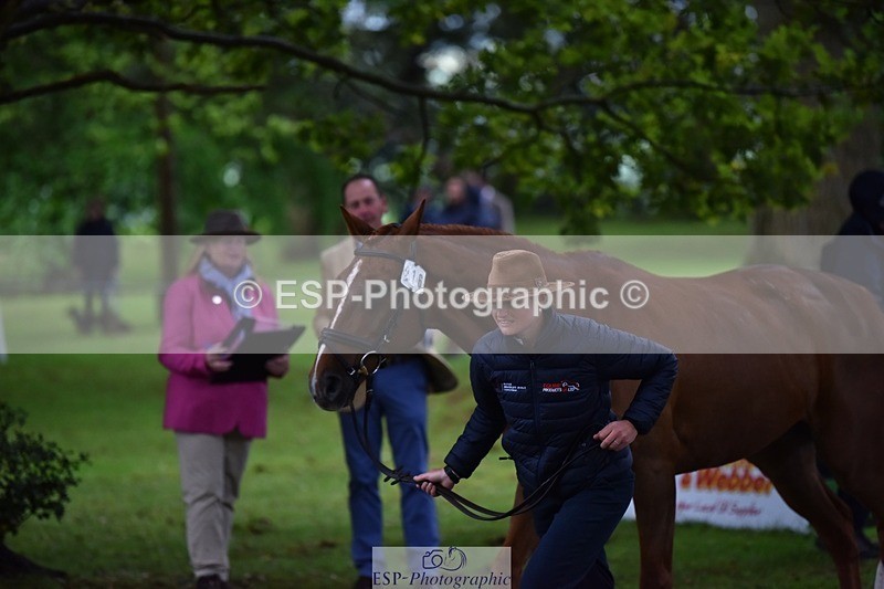 240522-164120-01080 - 216-I'M_A_WONDER-Rosie_Bradley-Hole