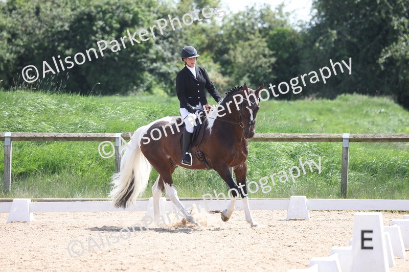 20250520-0818 - Class 5 - Novice 2