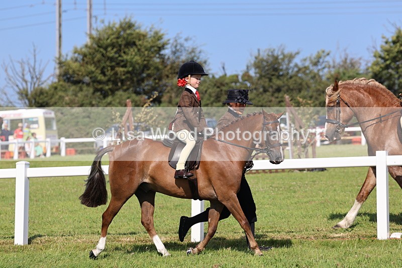 IMG_1711 - Class 31: Lead Rein SP/SHP