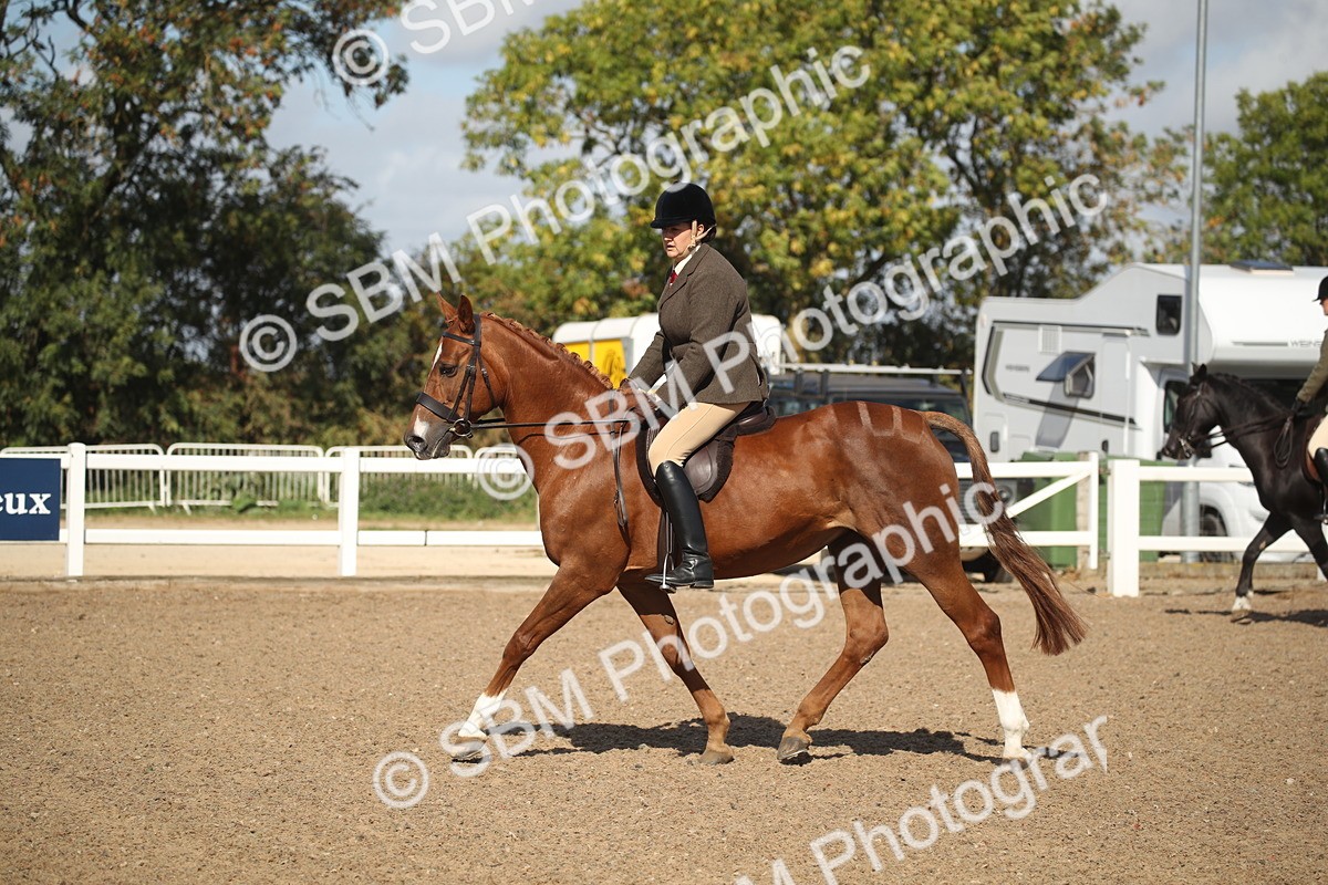 SBM_22923 - Class 603 - 2026 - Ridden Pre Vet