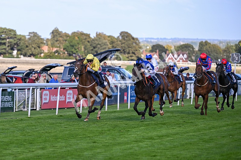 230925-Race 6-Kiss Me My Love-1966 - Race 6