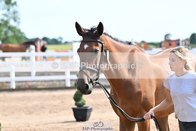 240717A-155348-03155 - Trot Up 3pm to 4pm