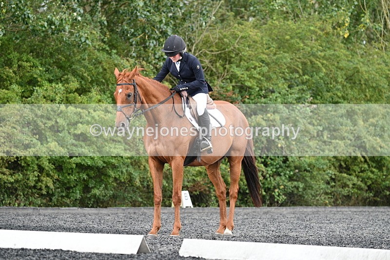 WJ7_7935 - Time 13:40 to 14:00