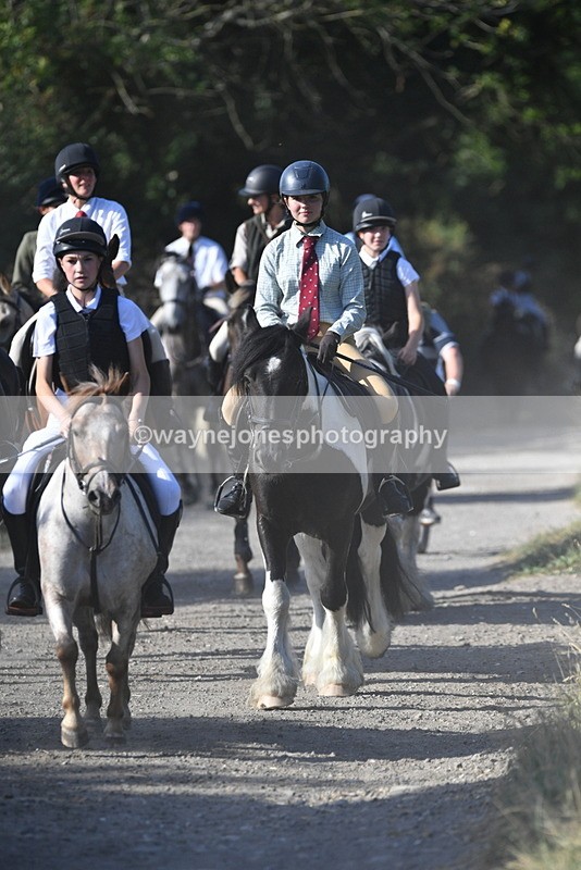 WJ5_4953 - Walk out with the hounds