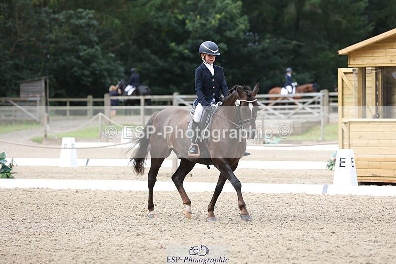 230812-103643-03277 - Cls 5 Novice Bronze Start to 10.55 break