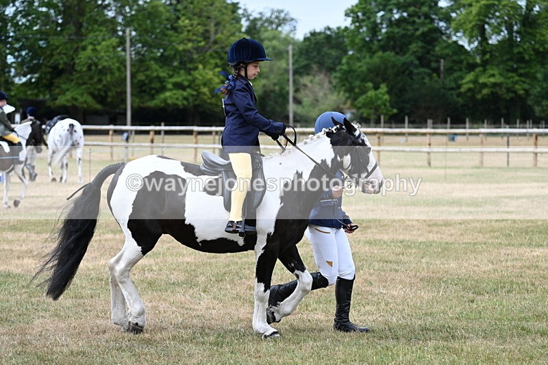 WJ7_9778 - Class 1 Lead Rein Pony