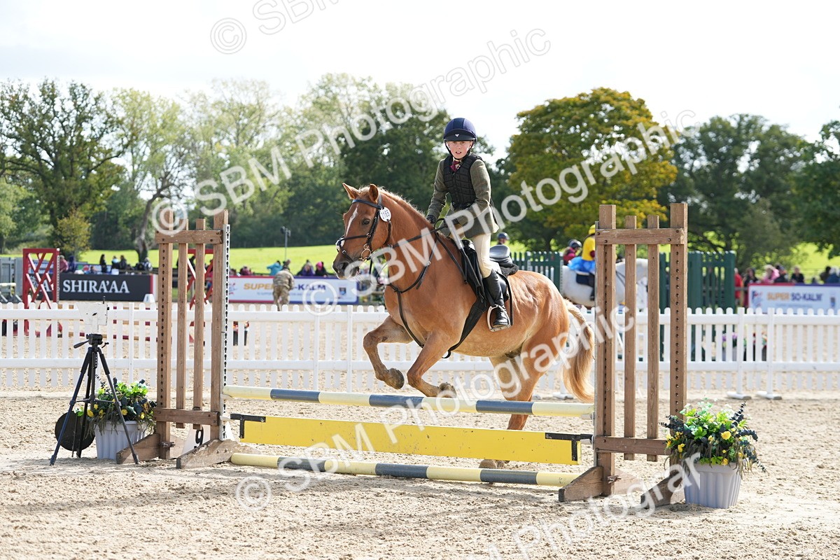 SBM_48480 - J7 - Junior Pony 60cm Championship
