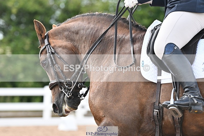 240621A-160038-04859 - Cls 13 BD Adv Medium 91