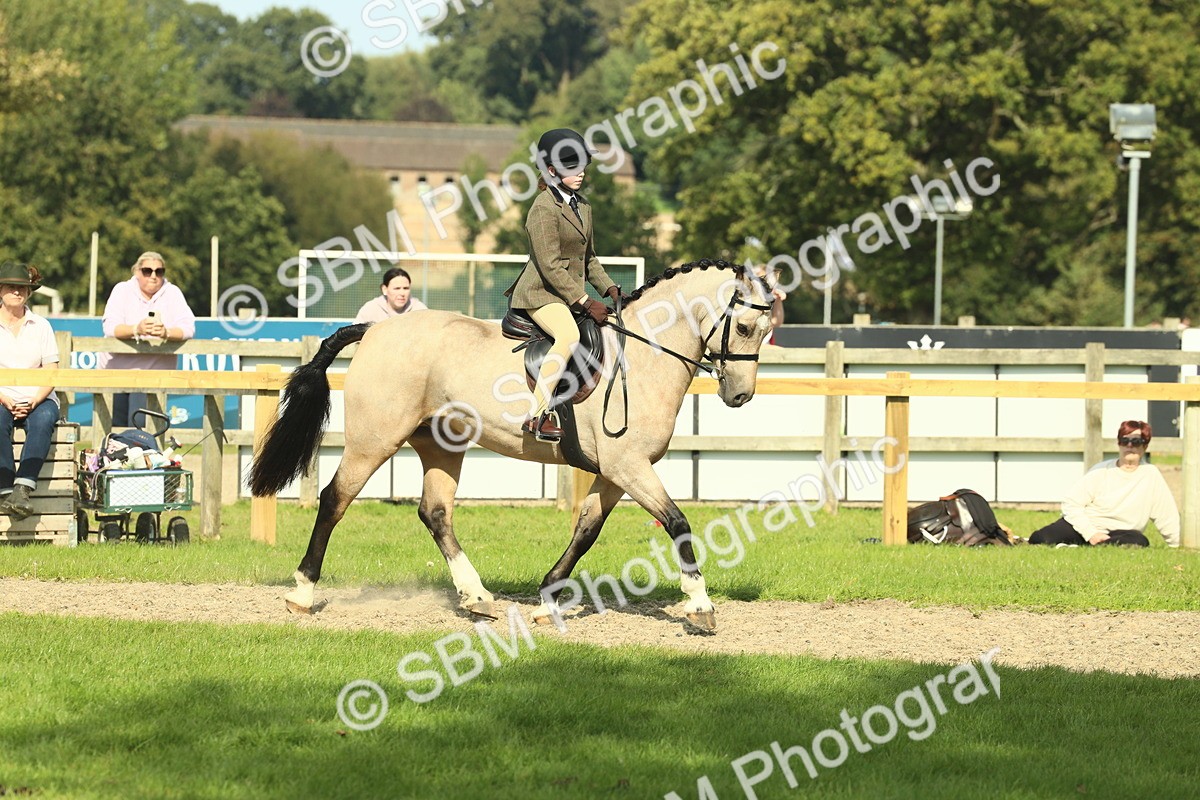 SBM_67617 - S56 - Coloured Pony Ridden