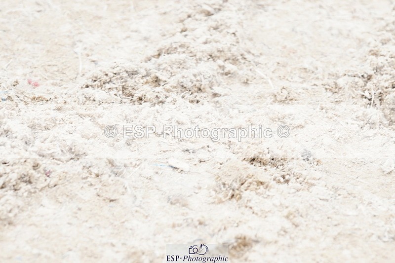 250420A-120908-00699 - Cls 03 80cm