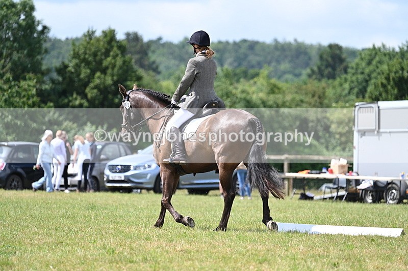 WJ7_4780 - Time 11:22 to 11:51