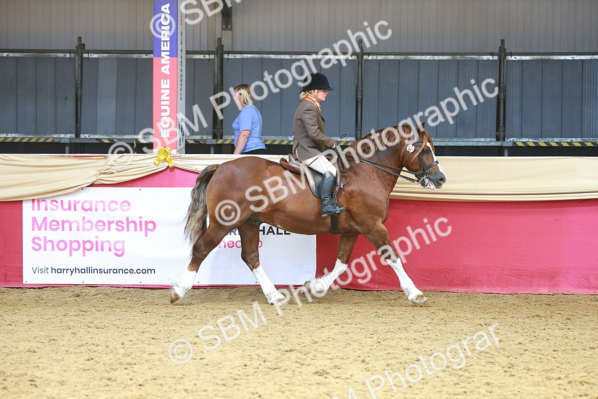 SBM_12437 - Class 103 - HOYS Veteran Qualifier - Ridden Pre Vet