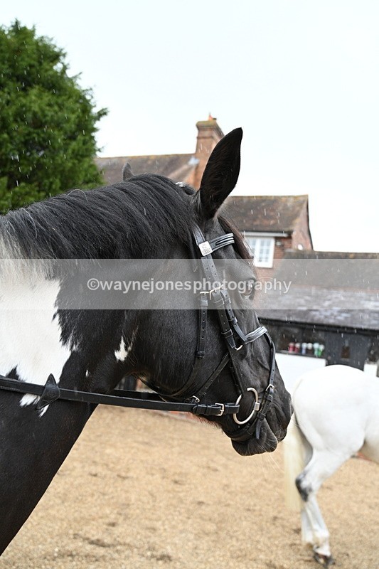 WJ7_6907 - Berks & Bucks at Blandy’s Farm 31-08-25