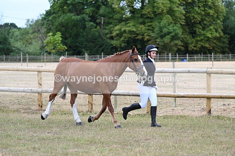 WJ7_8765 - Class 4a Prettiest Mare 14.2hh and over