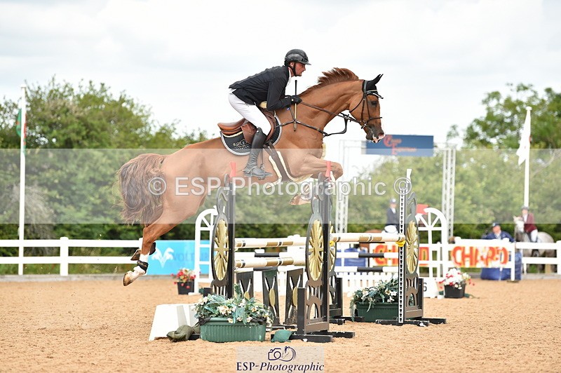 230720A-123120-02572 - Cls 13, 1 Star Bronze 1.10m