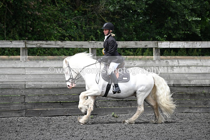 WJ6_0387 - Class 13 Novice 60cm
