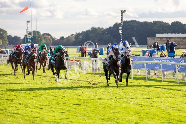 111024-Race 6-Fondo Blanco-6995 - Race 6 4.20pm William Hill EBF Novice Stakes