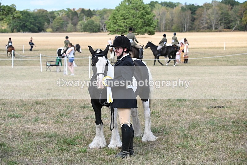 WJ6_6762 - Class 20 In-hand Cob