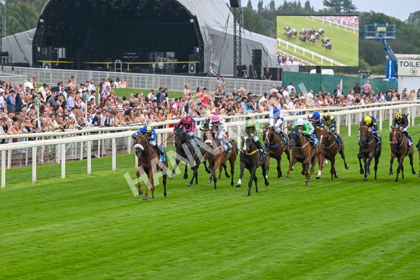 250725-Race 2-Rock N Roll Pinkie-5439 - Race 2 6.03pm Elevator Company Handicap