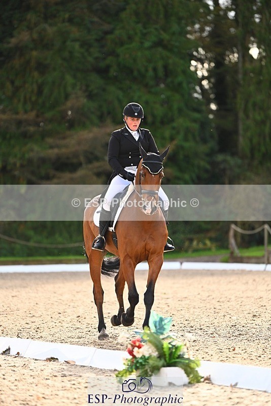 231021-144702-17921 - 359-ROSSDARRAGH.NERO-Charlotte.Rowe-DR