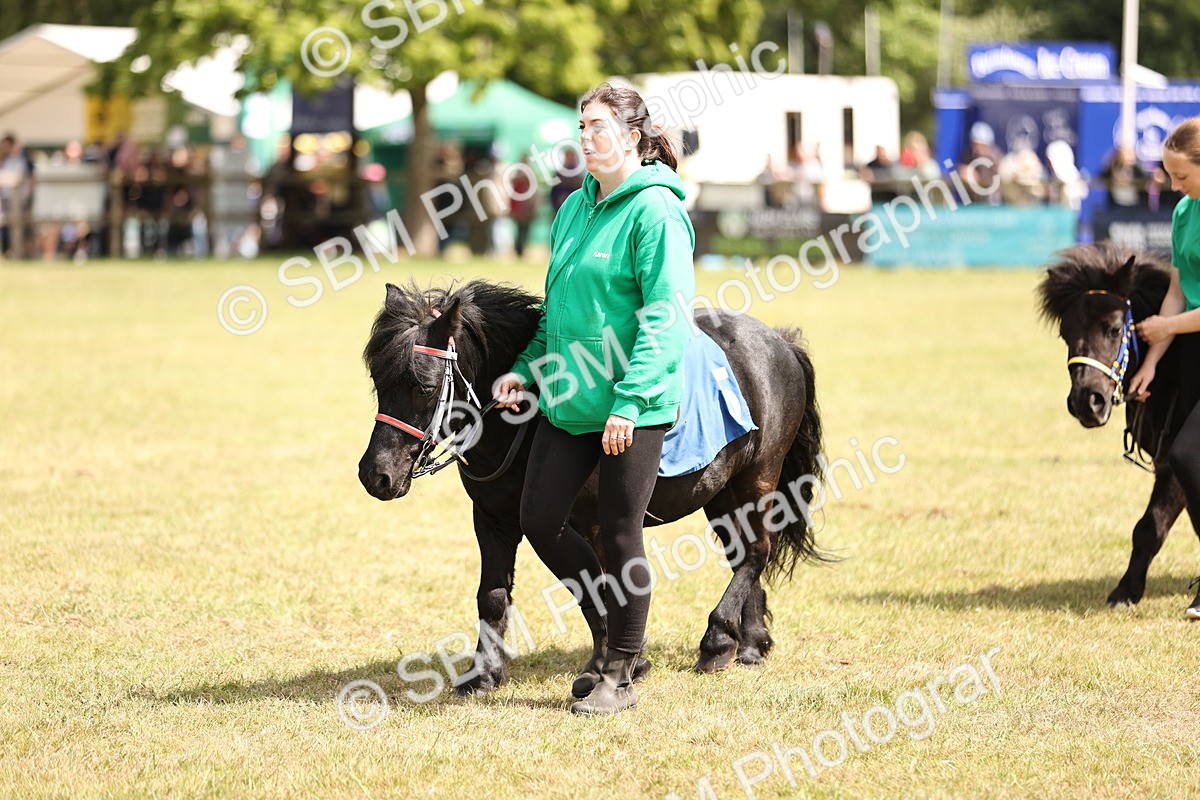 SBM_16383 - Dinky Derby