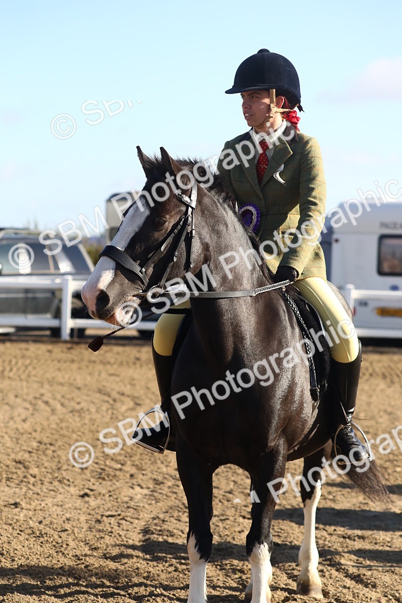 SBM_07935 - Class 501 - Riding Club Pony
