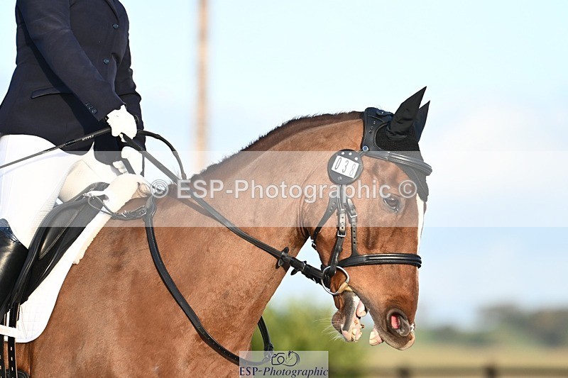 231105-154010-03856 - Cls 5 Novice 27 15.35 to 16.54 break