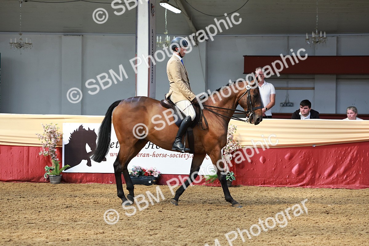 SBM_14930 - Class 108 - Ridden Retired Racehorse