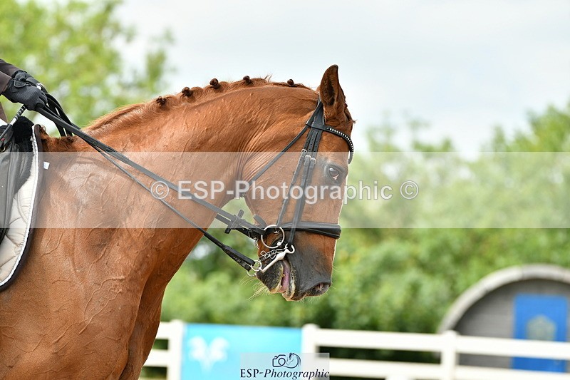 230701A-145342-06978 - Cls 17, 20, 11 + 21 Music PSG, Inter II, Advanced 101 + FEI GP