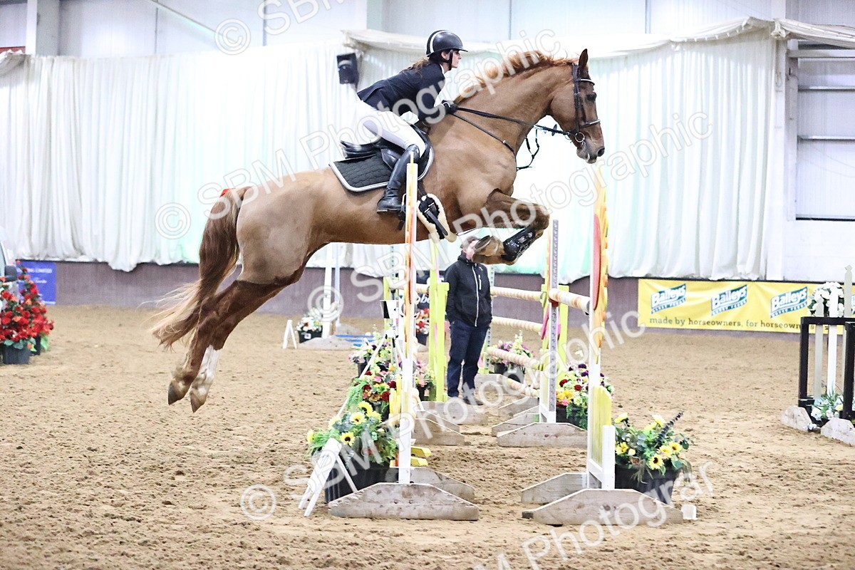 SBM_003650 - Class 17 - Senior Foxhunter - 1.20m