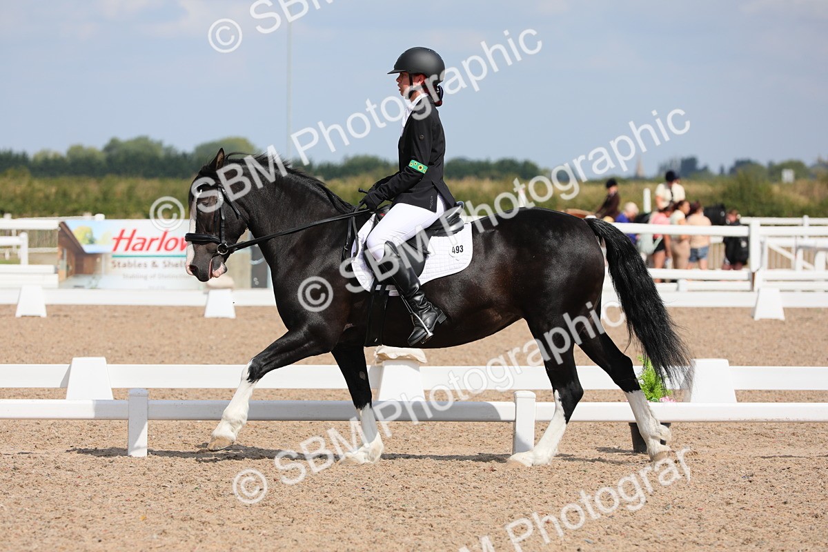 SBM_04183 - Class 31 Prelim 1