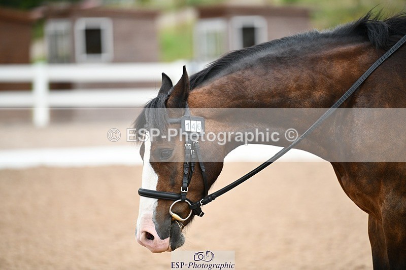 250705-101753-00199 - BRCP1 Sections BRCP1SNR, BRCP1JNR 09-30 to 10-40