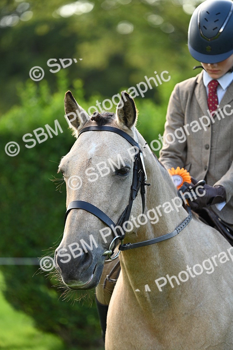 SBM_02096 - S2 - TSR Ridden Horse Showing