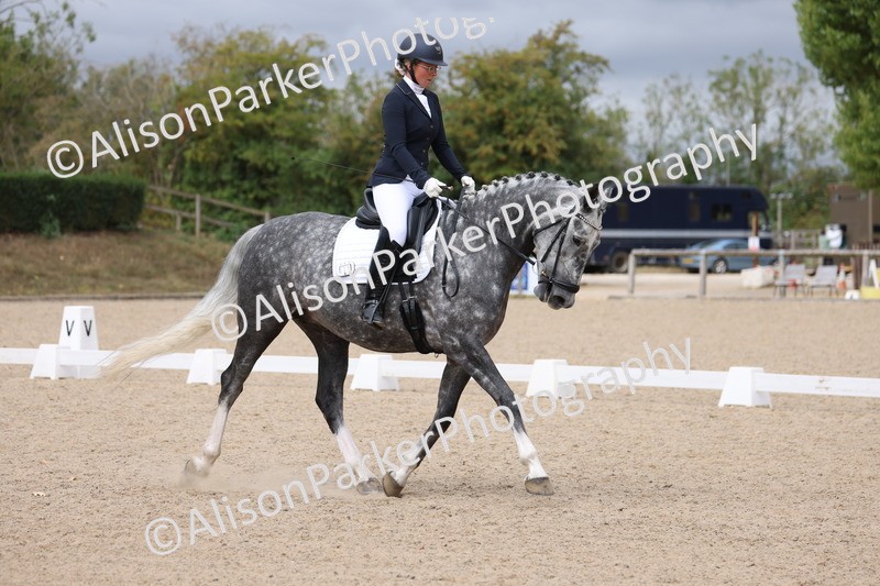 20250820-0793 - Class 15 - Novice 4